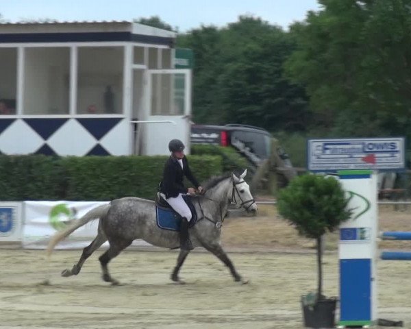 Reitturnier Heinsberg 2017