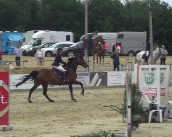 Reitturnier Heinsberg 2017