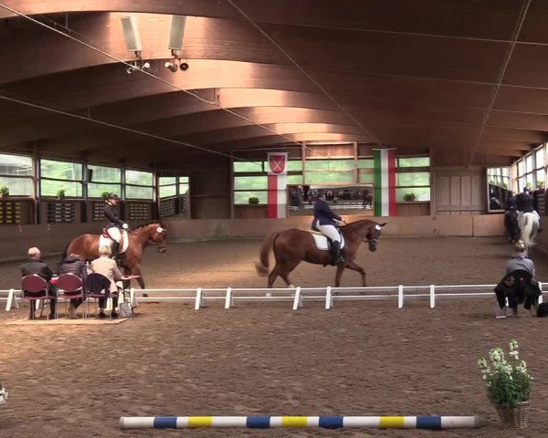 Reitturnier Schwerte-Gut Kückshausen 2017