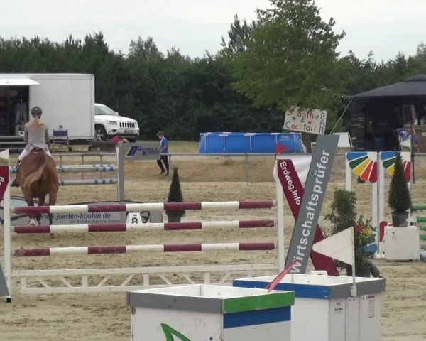Reitturnier Heinsberg 2017