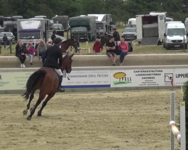 Reitturnier Heinsberg 2017