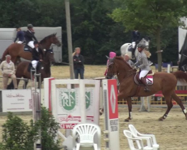 Reitturnier Heinsberg 2017