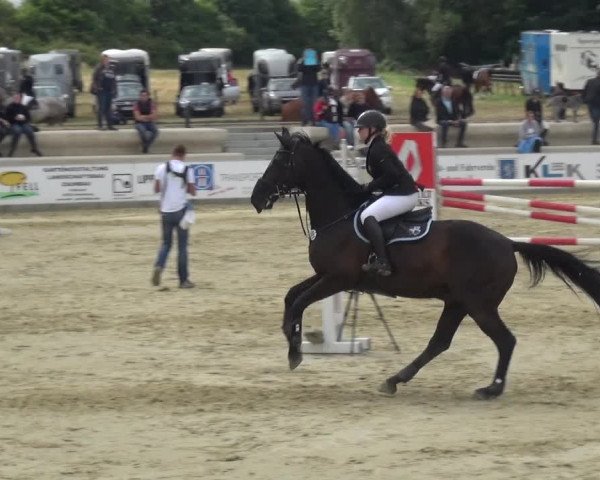 Reitturnier Heinsberg 2017