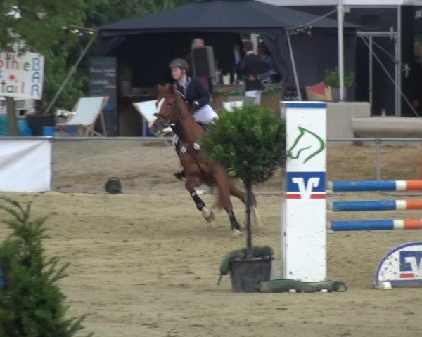 Reitturnier Heinsberg 2017