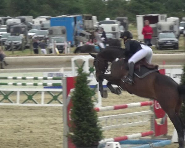 Reitturnier Heinsberg 2017
