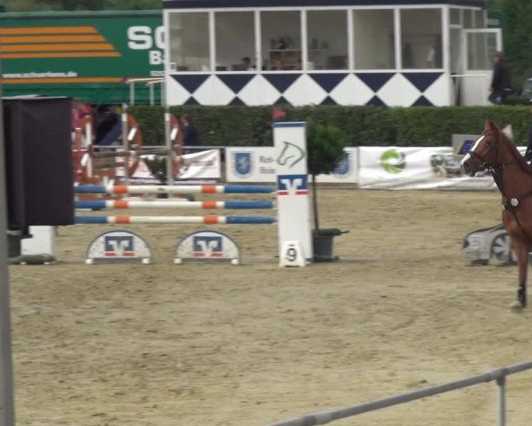 Reitturnier Heinsberg 2017