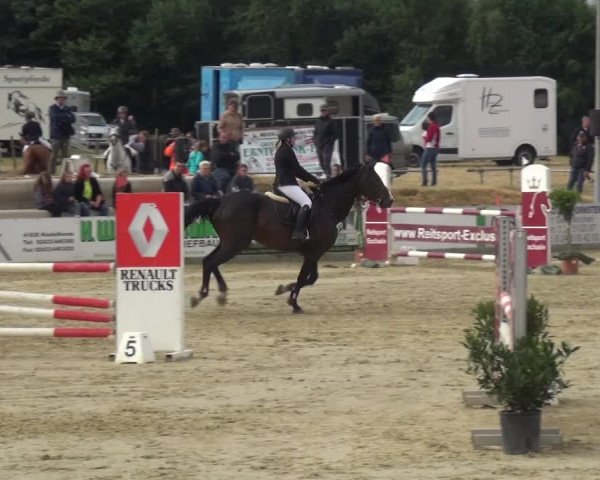 Reitturnier Heinsberg 2017
