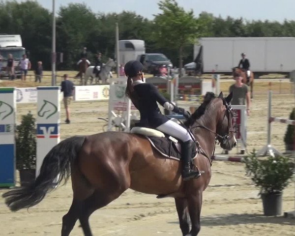 Reitturnier Heinsberg 2017