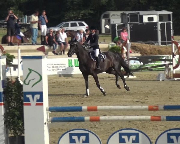 Reitturnier Heinsberg 2017