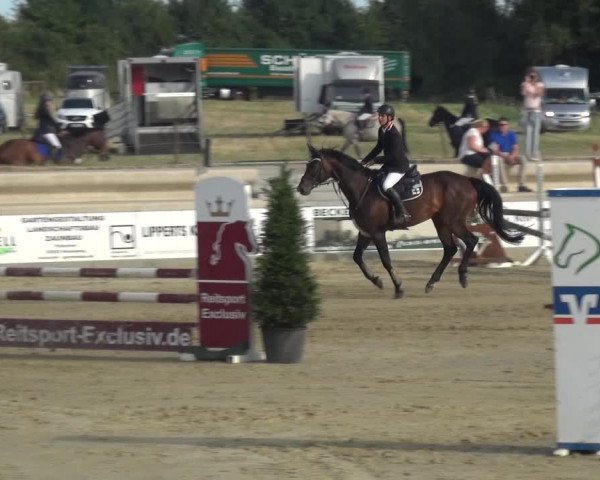 Reitturnier Heinsberg 2017