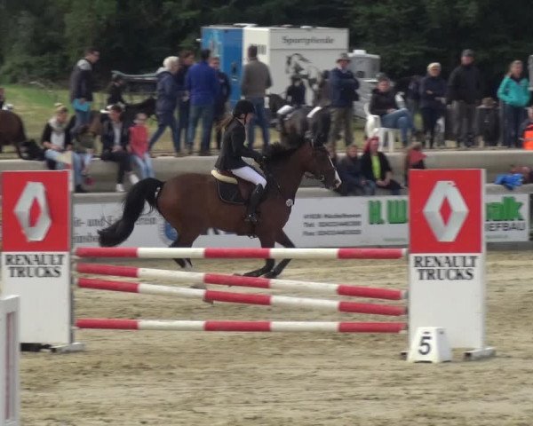 Reitturnier Heinsberg 2017