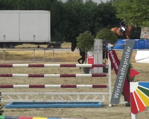Reitturnier Heinsberg 2017