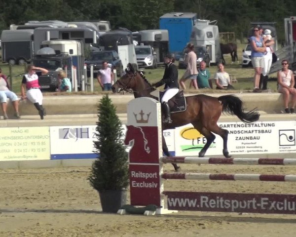 Reitturnier Heinsberg 2017