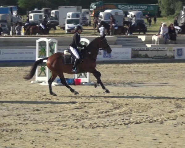 Reitturnier Heinsberg 2017