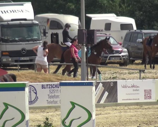 Reitturnier Heinsberg 2017