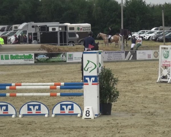 Reitturnier Heinsberg 2017