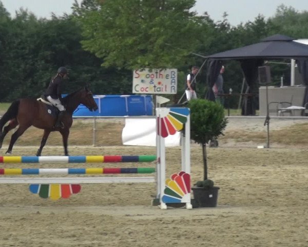 Reitturnier Heinsberg 2017