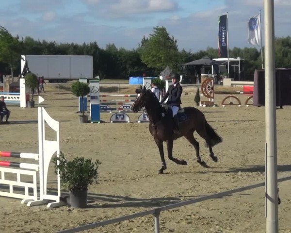 Reitturnier Heinsberg 2017