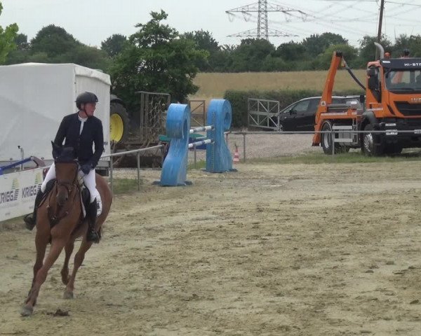 Reitturnier Heinsberg 2017