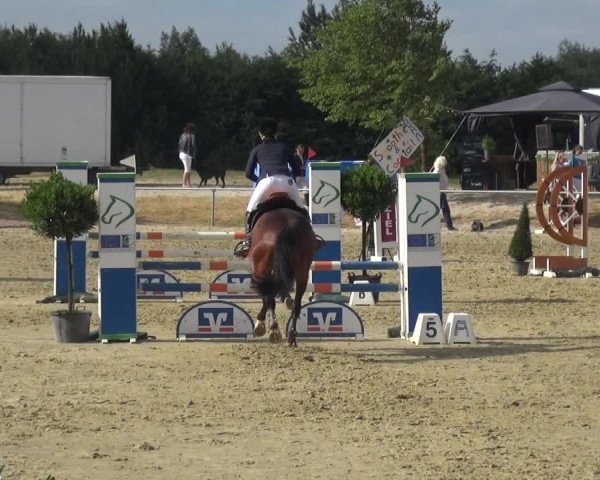 Reitturnier Heinsberg 2017