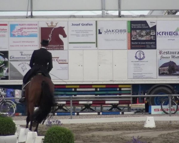 Reitturnier Heinsberg 2017