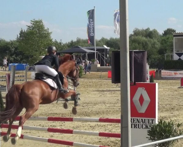 Reitturnier Heinsberg 2017