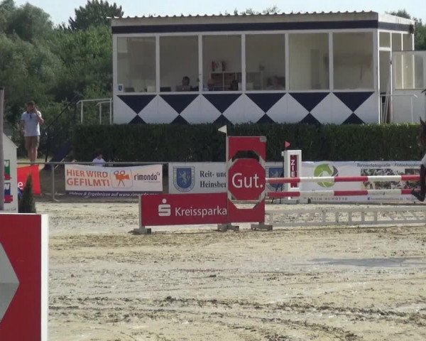 Reitturnier Heinsberg 2017