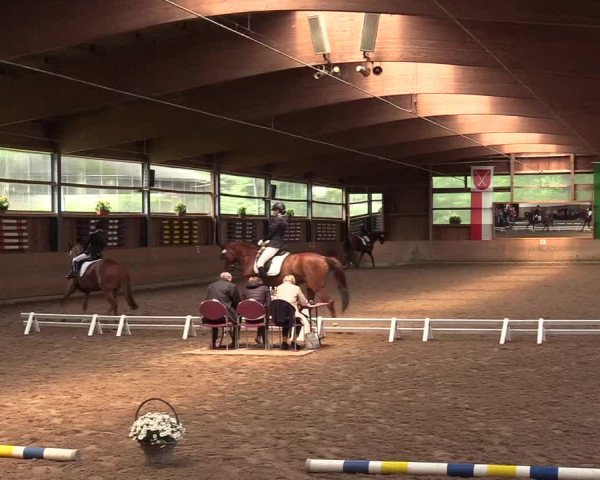 Reitturnier Schwerte-Gut Kückshausen 2017