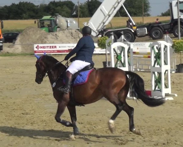 Reitturnier Heinsberg 2017
