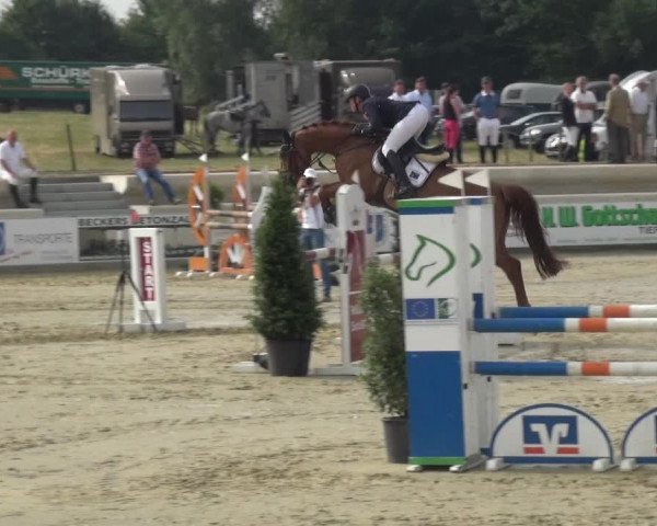 Reitturnier Heinsberg 2017
