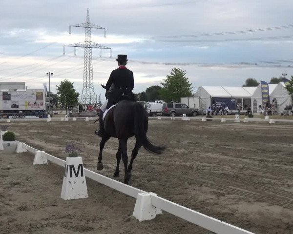 Reitturnier Heinsberg 2017