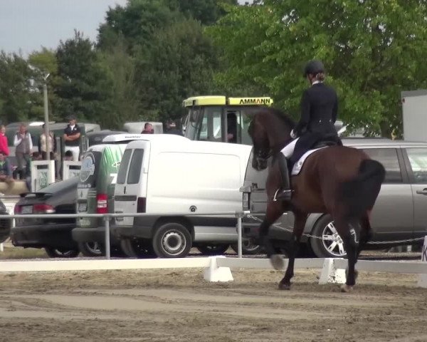 Reitturnier Heinsberg 2017