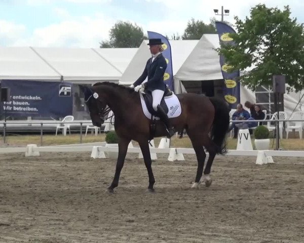 Reitturnier Heinsberg 2017