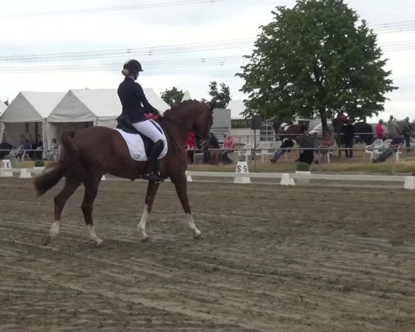 Reitturnier Heinsberg 2017