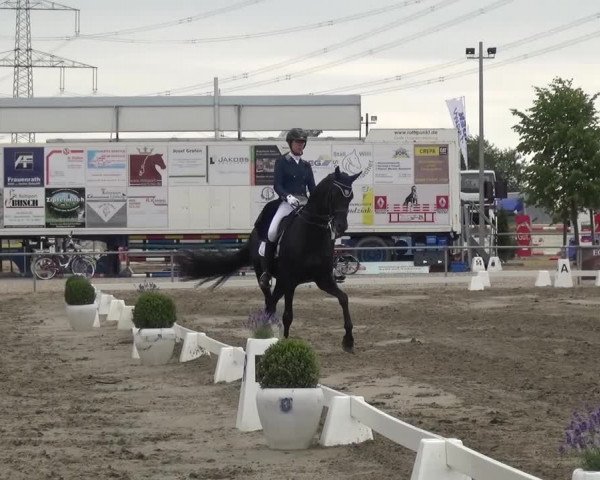 Reitturnier Heinsberg 2017