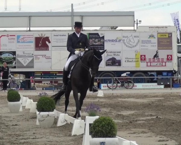 Reitturnier Heinsberg 2017