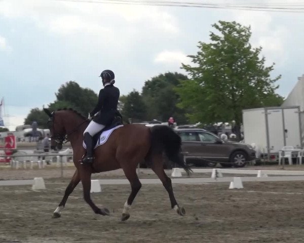 Reitturnier Heinsberg 2017
