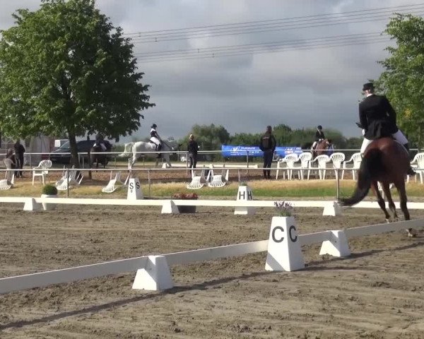 Reitturnier Heinsberg 2017
