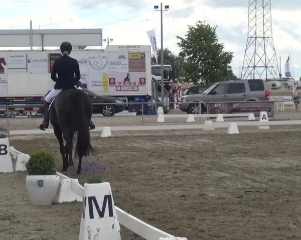 Reitturnier Heinsberg 2017
