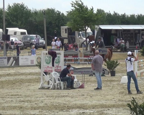 Reitturnier Heinsberg 2017