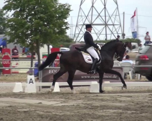 Reitturnier Heinsberg 2017