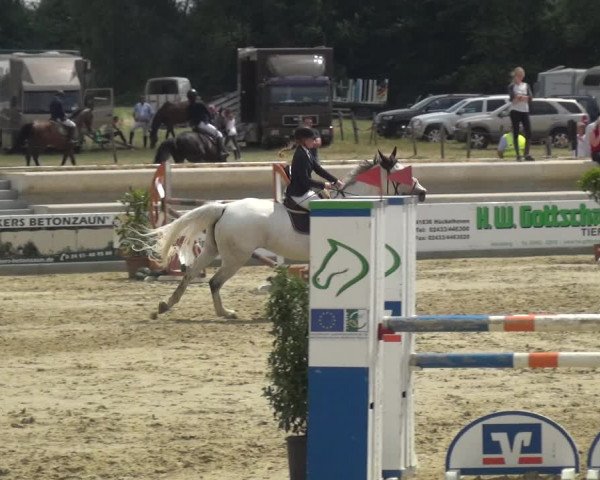Reitturnier Heinsberg 2017