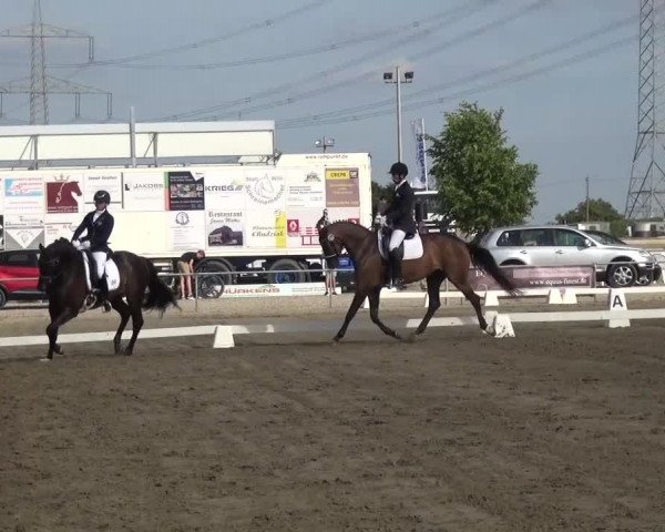 Reitturnier Heinsberg 2017