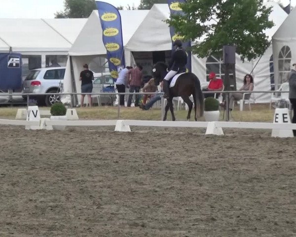 Reitturnier Heinsberg 2017