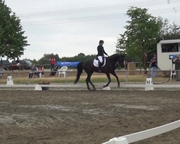 Reitturnier Heinsberg 2017