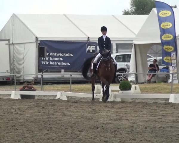 Reitturnier Heinsberg 2017
