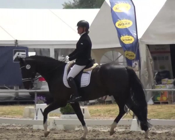 Reitturnier Heinsberg 2017