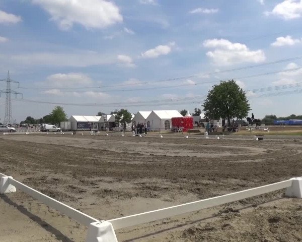 Reitturnier Heinsberg 2017