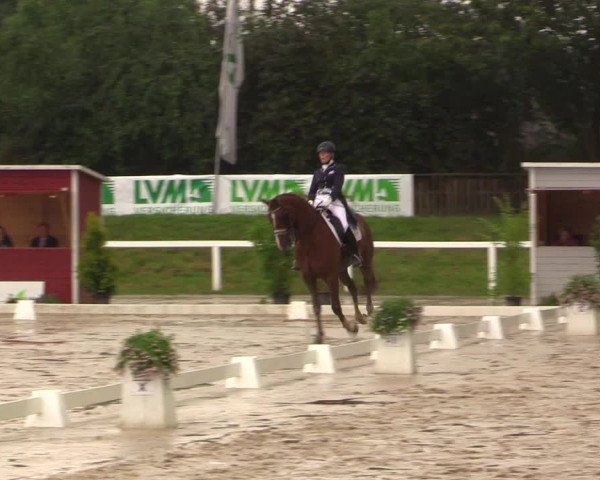 Reitturnier Melle-Ostenfelde 2017