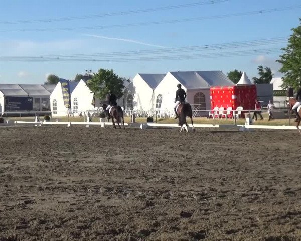Reitturnier Heinsberg 2017
